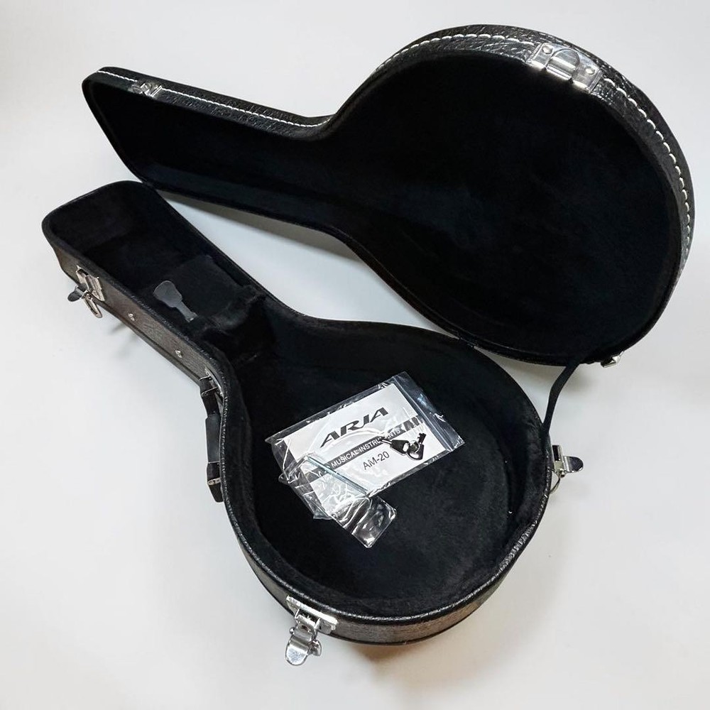 [Good condition/new strings] Aria AM20 8 string mandolin hard case included