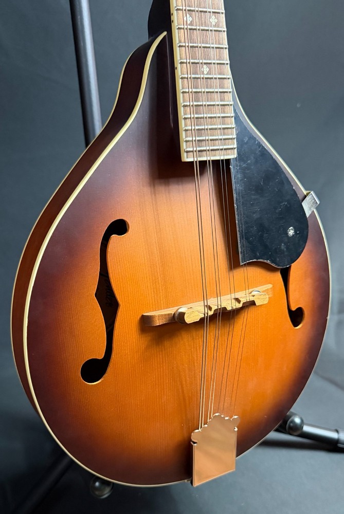 Fender PM-180E Paramount Bluegrass A-Style Mandolin Aged Cognac Burst w/ Fishman