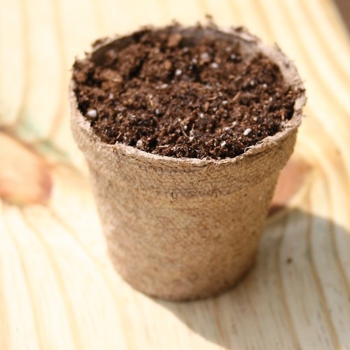 Jiffy 3″ Round Growing Medium Peat Pots — Biodegradable Seed Starter (10 Pack)