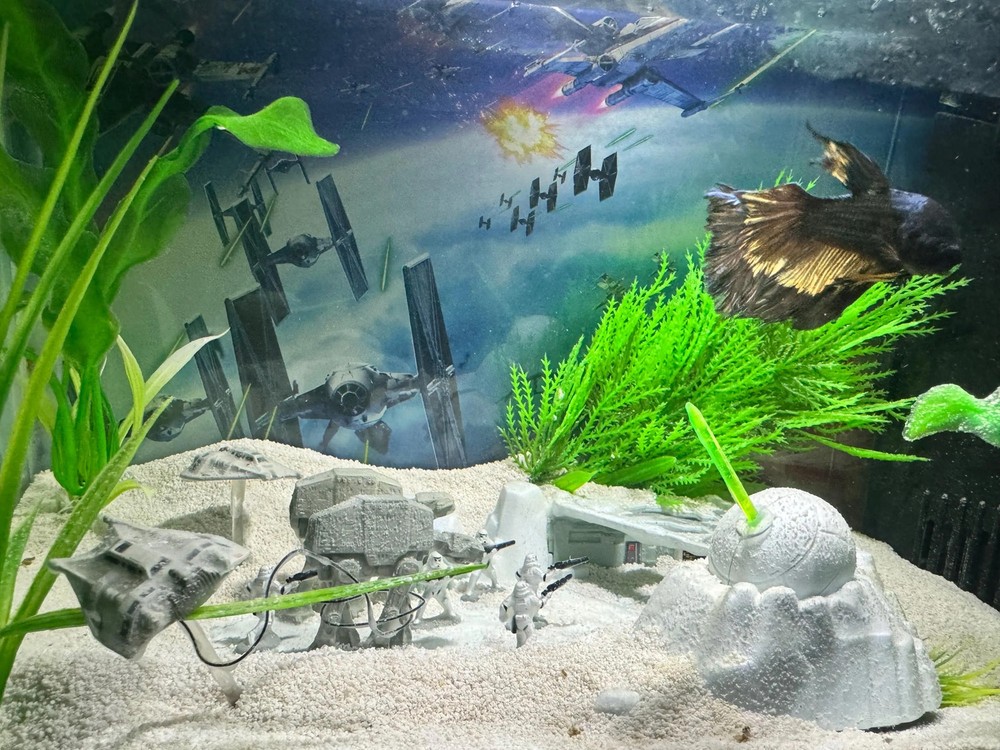 Hoth Battle Recreation