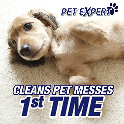 Resolve Carpet Concentrate for Steam Urine Destroyer Carpet Cleaner Solution ...