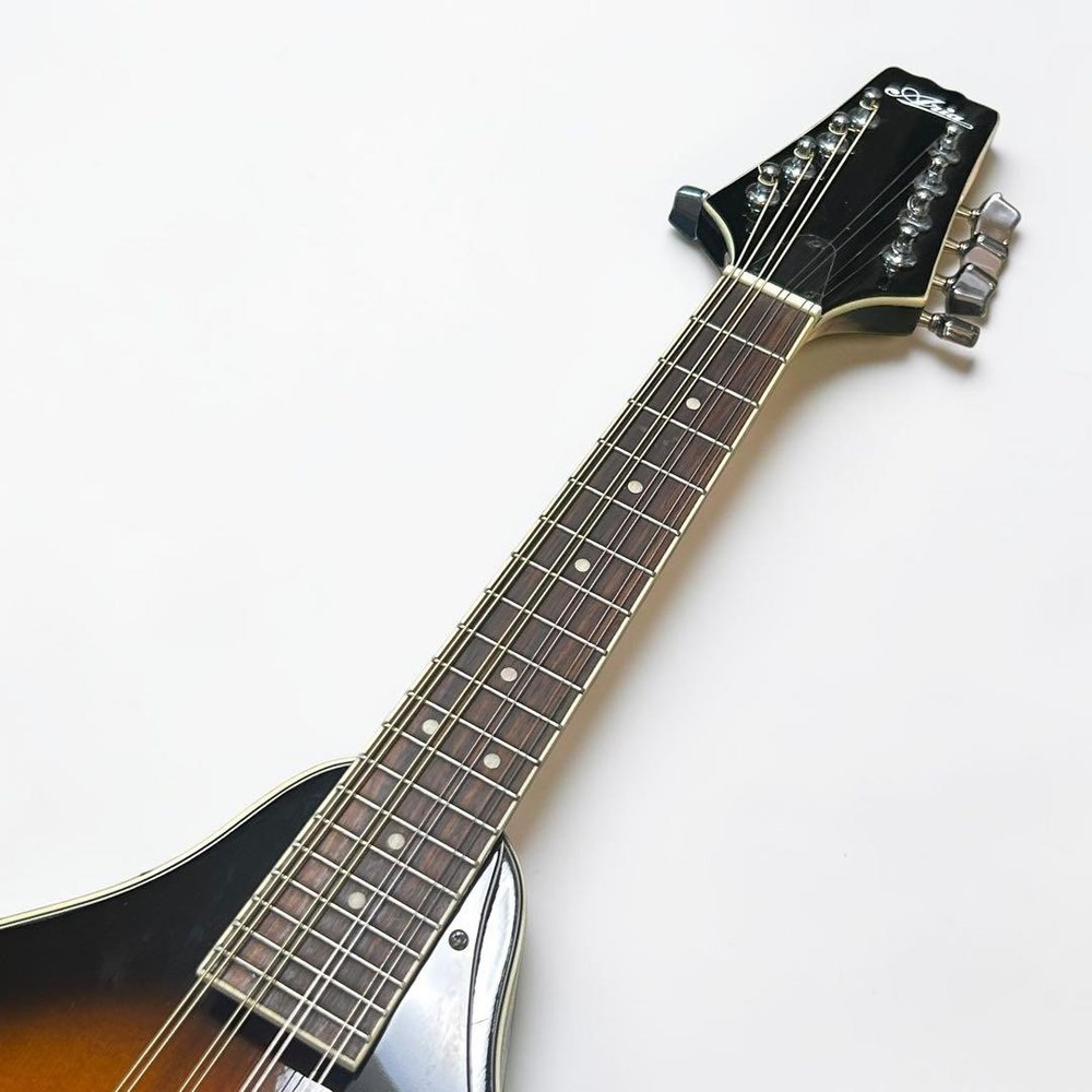 [Good condition/new strings] Aria AM20 8 string mandolin hard case included