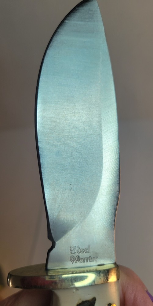 Steel Warrior Bone Handle Fixed Knife 440 Stainless with Sheath