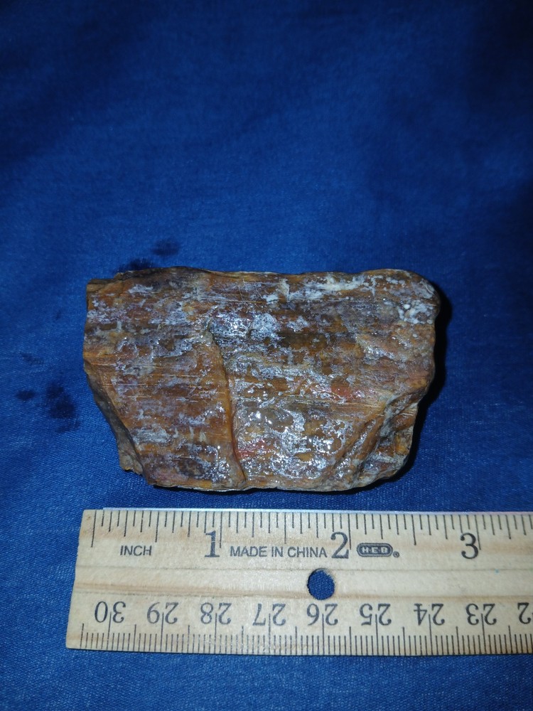 4.5 oz Agatized Petrified Wood