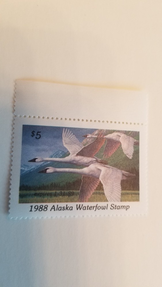 Five Dollar 1988 Alaska Waterfowl Stamp