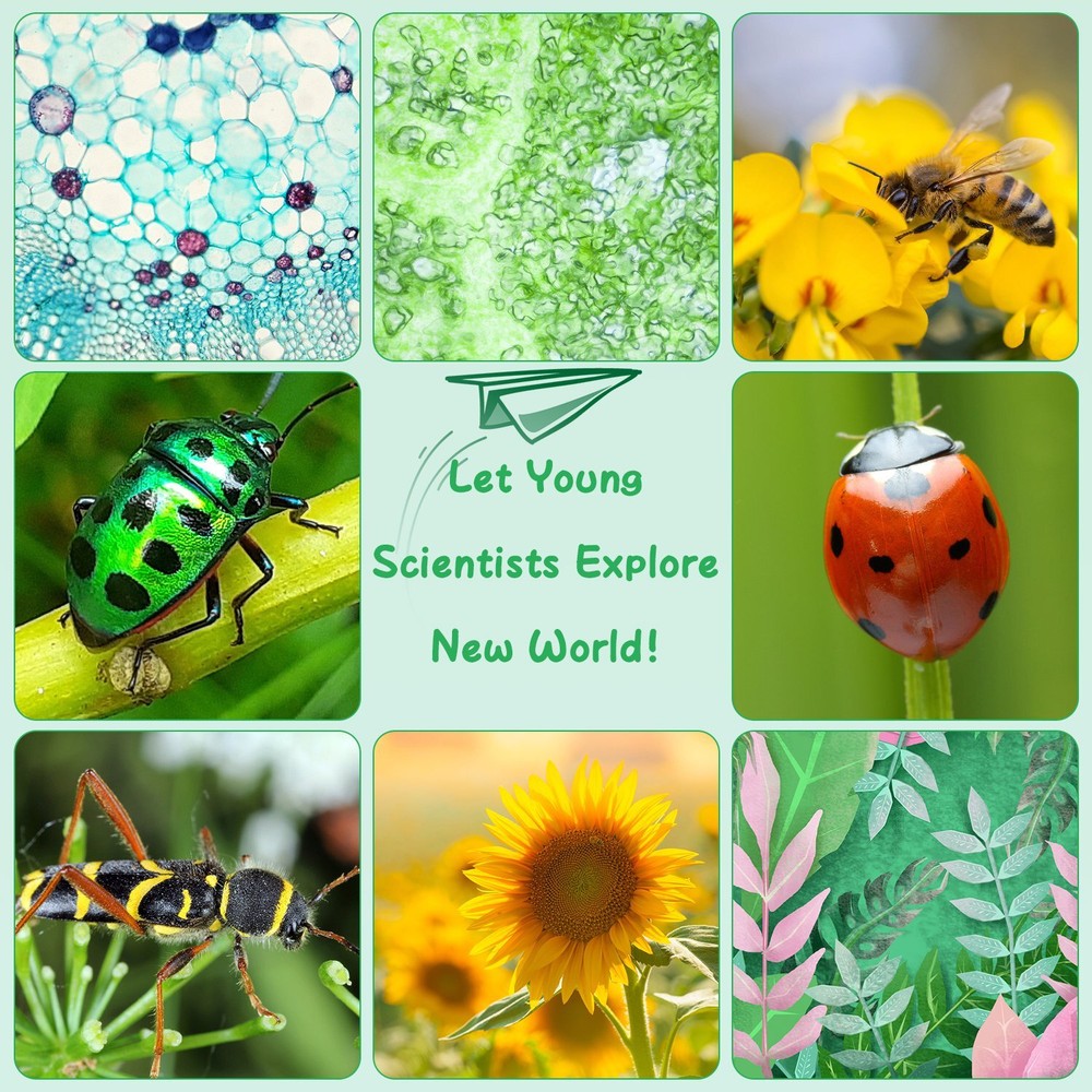 Kids’ Microscope Telescope Camera USB Mini Microscope w/32G MMC Card Microscope