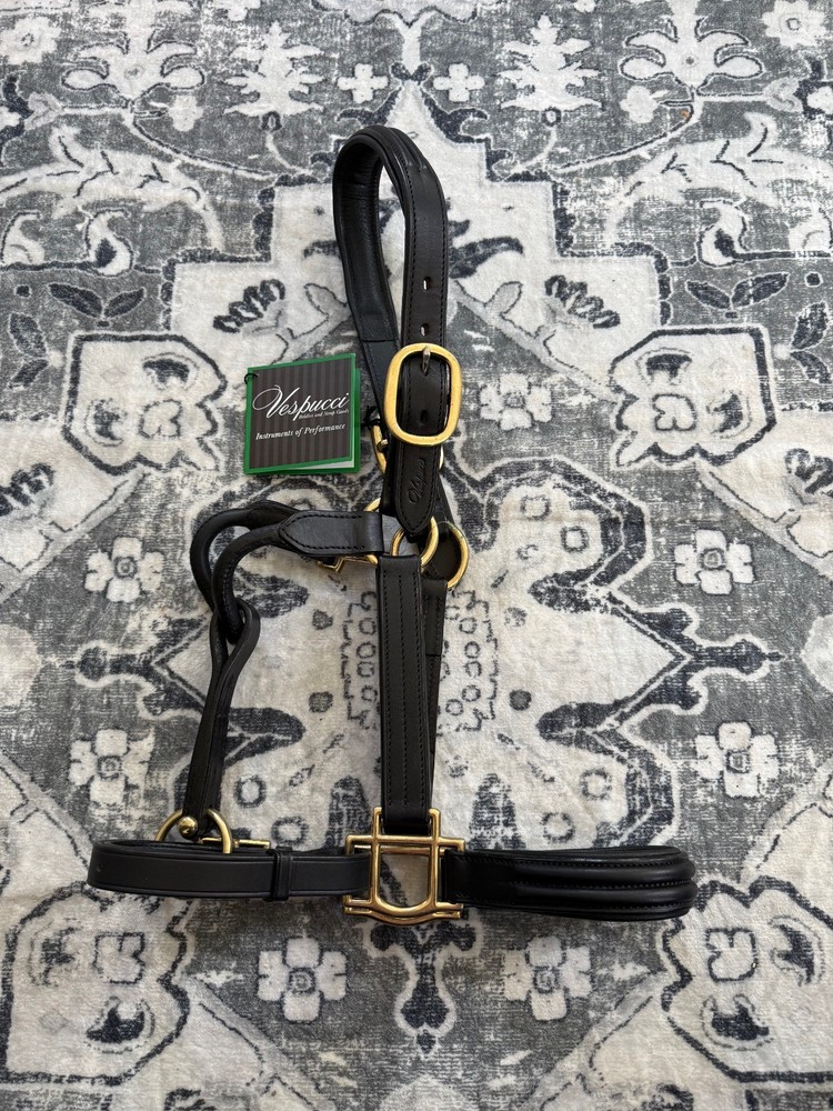 Vespucci Double Raised Leather Halter (Cob)