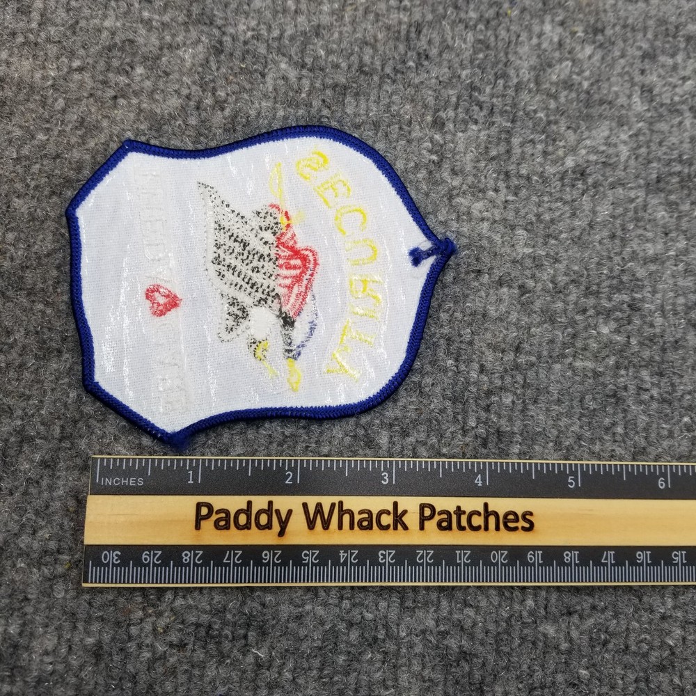 Theda Care Security Patch