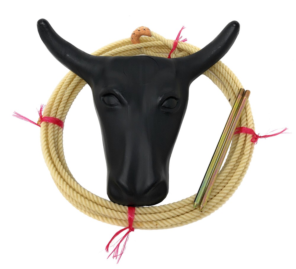 AJ Tack Junior Steer Head Dummy Set