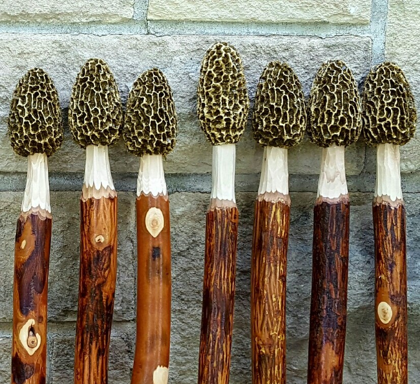 Morel Mushroom Hickory Hiking Stick