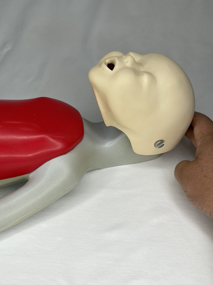 Nasco Life/form Basic Buddy+Baby Training CPR Dolls Dummy Manikin W Introduction