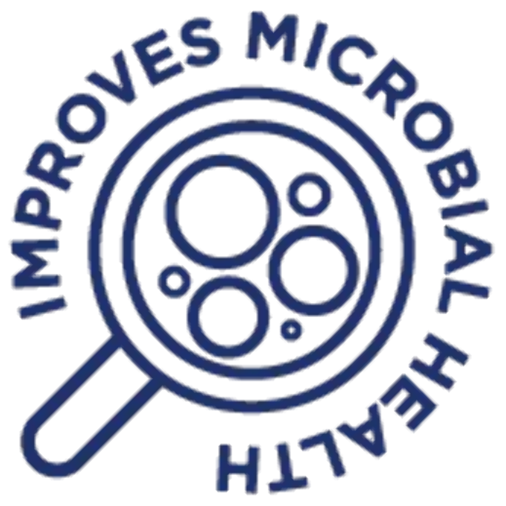 Groundhog Radish, Cover Crop Seeds