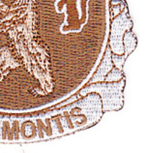 136th Infantry Regiment Patch - Desert