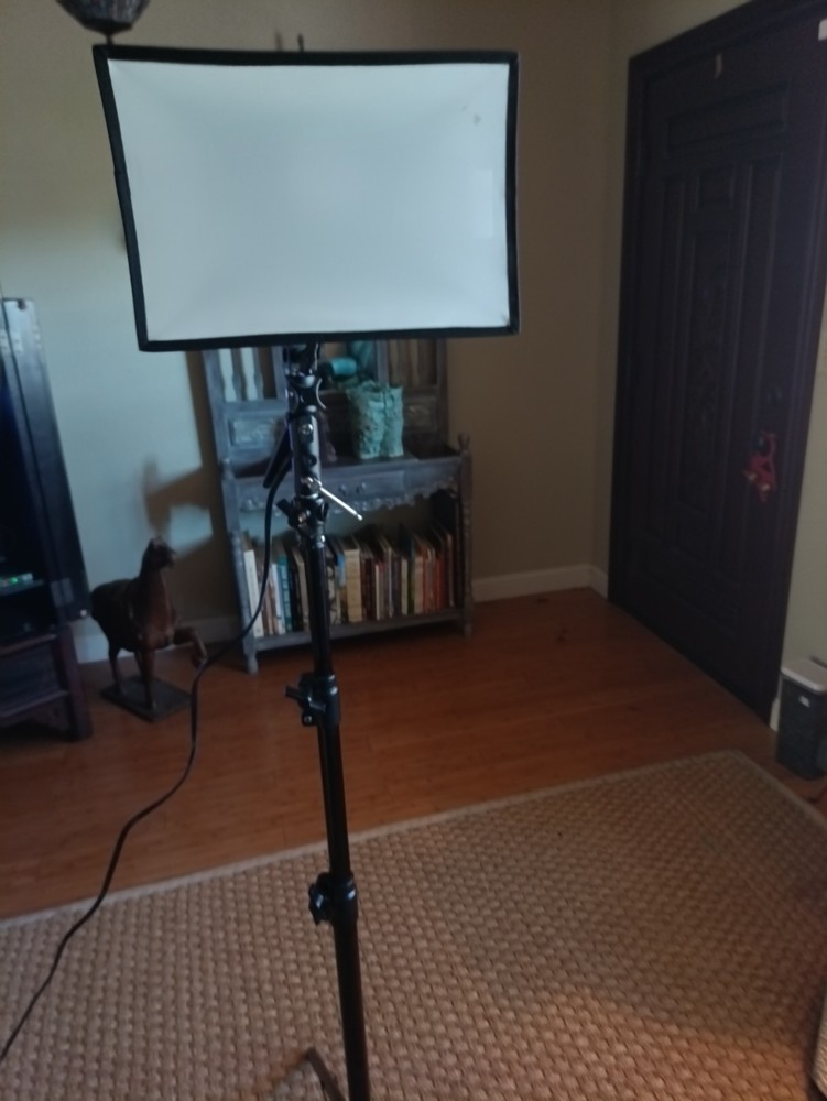 Flashpoint 7' 3 Section Aluminum Light Stands With Light and Diffuser (2)