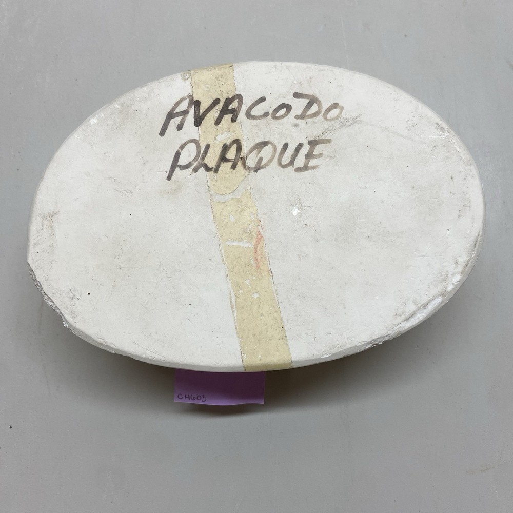 Ceramic Slip Casting Mold Avocado Fruit Face Plaque