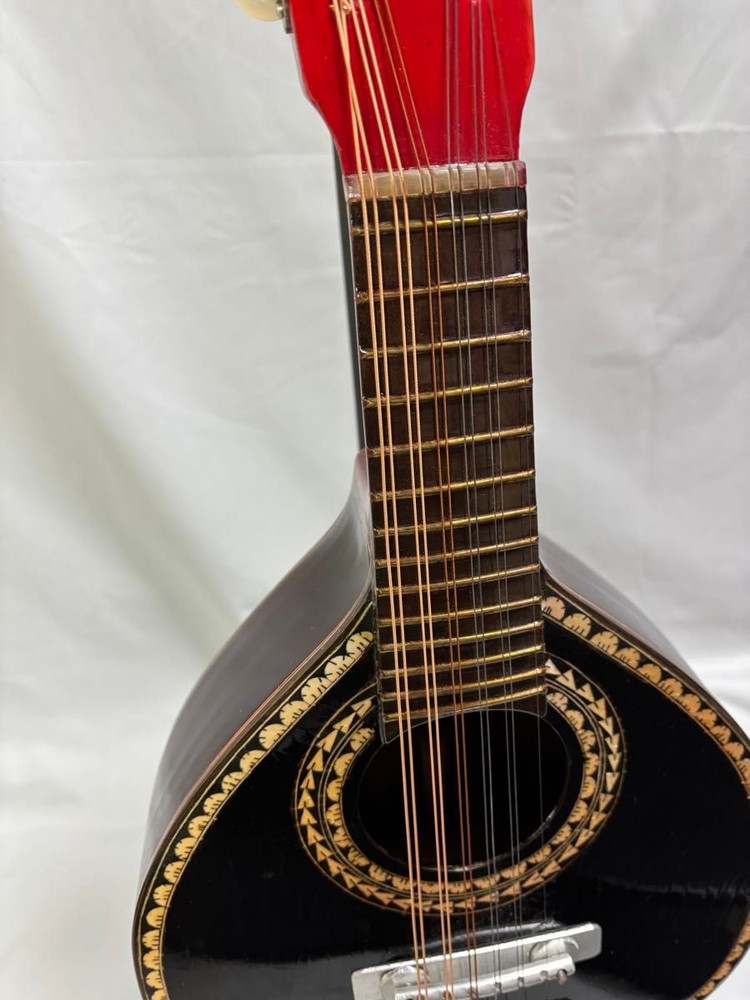 �y�󏭃��A�zOscar Schmidt Stella 12-string (1920s)
