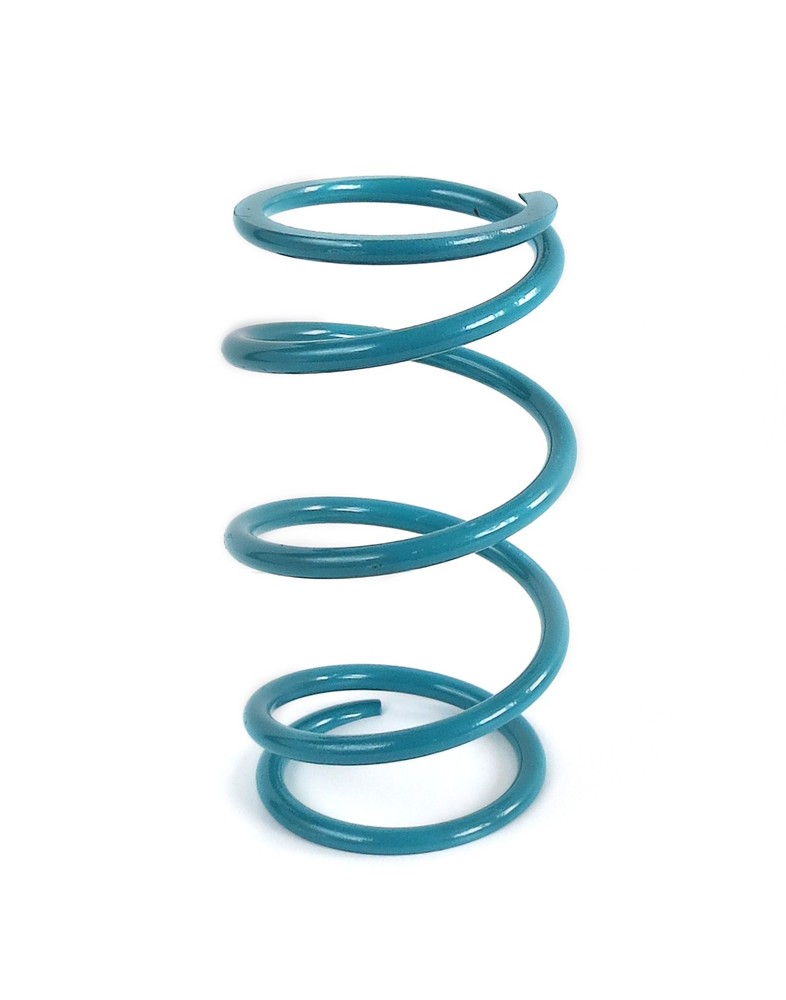 EPI Clutch Spring Kit - PEBS30