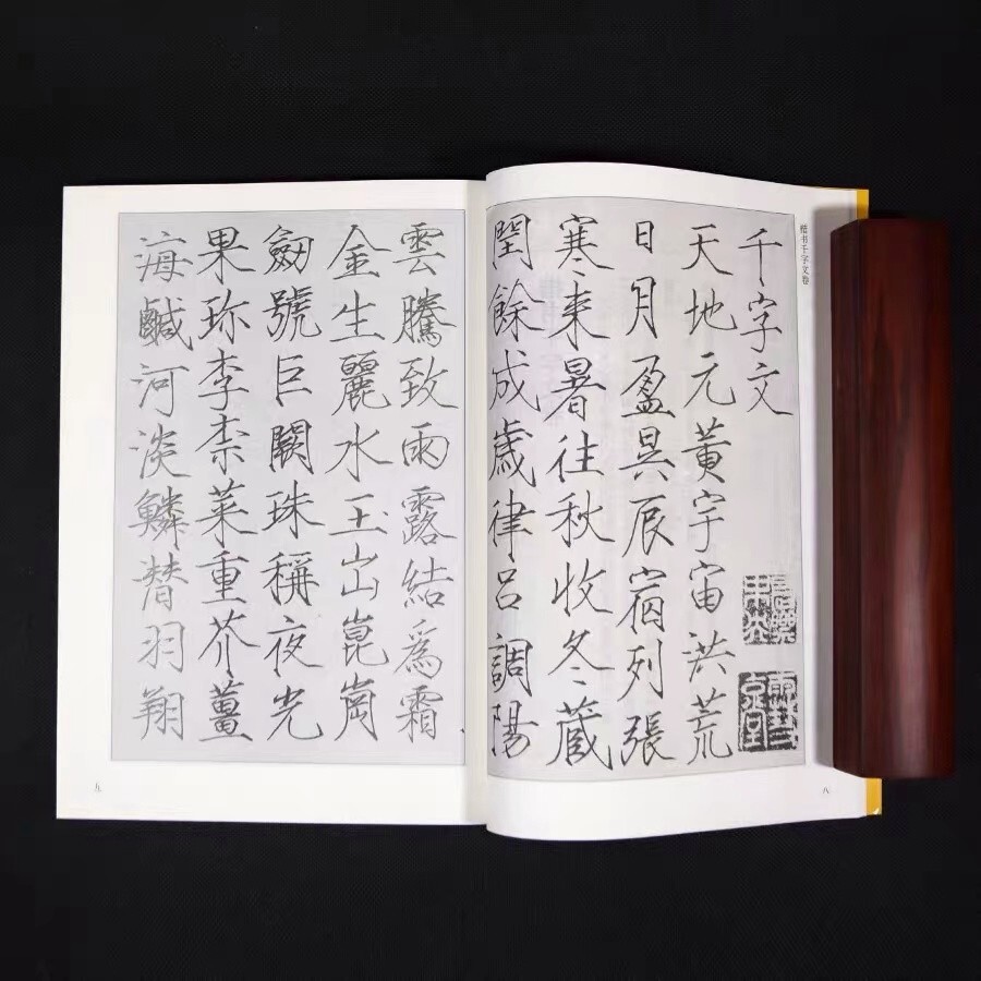 Chinese Calligraphy Copybook Pen Write