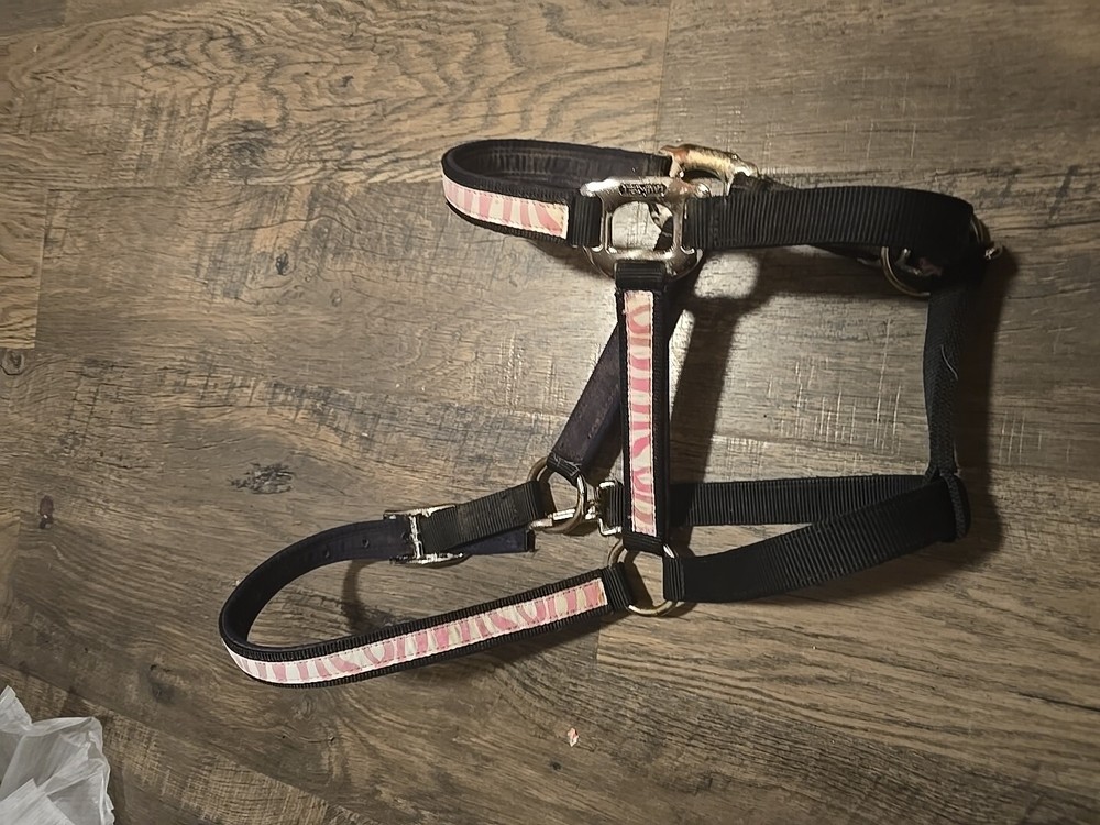 Horse Halter