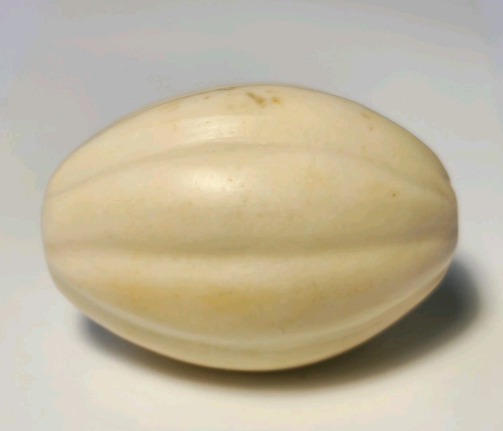 ANCIENT LARGE WESTERN ASIAN SHELL MELON SHAPE BEAD (29mm x 20.5mm)
