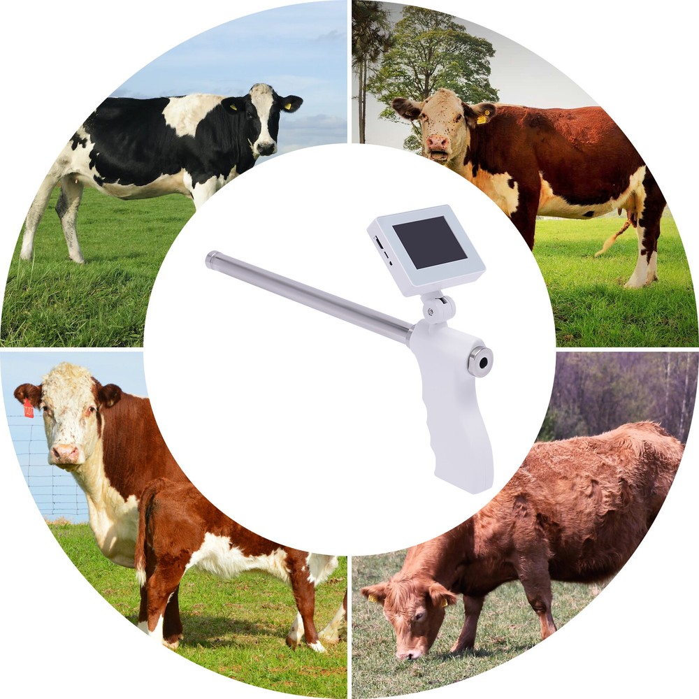 Visual Artificial Insemination Gun Cow Kit Camera with 360° Adjustable Screen