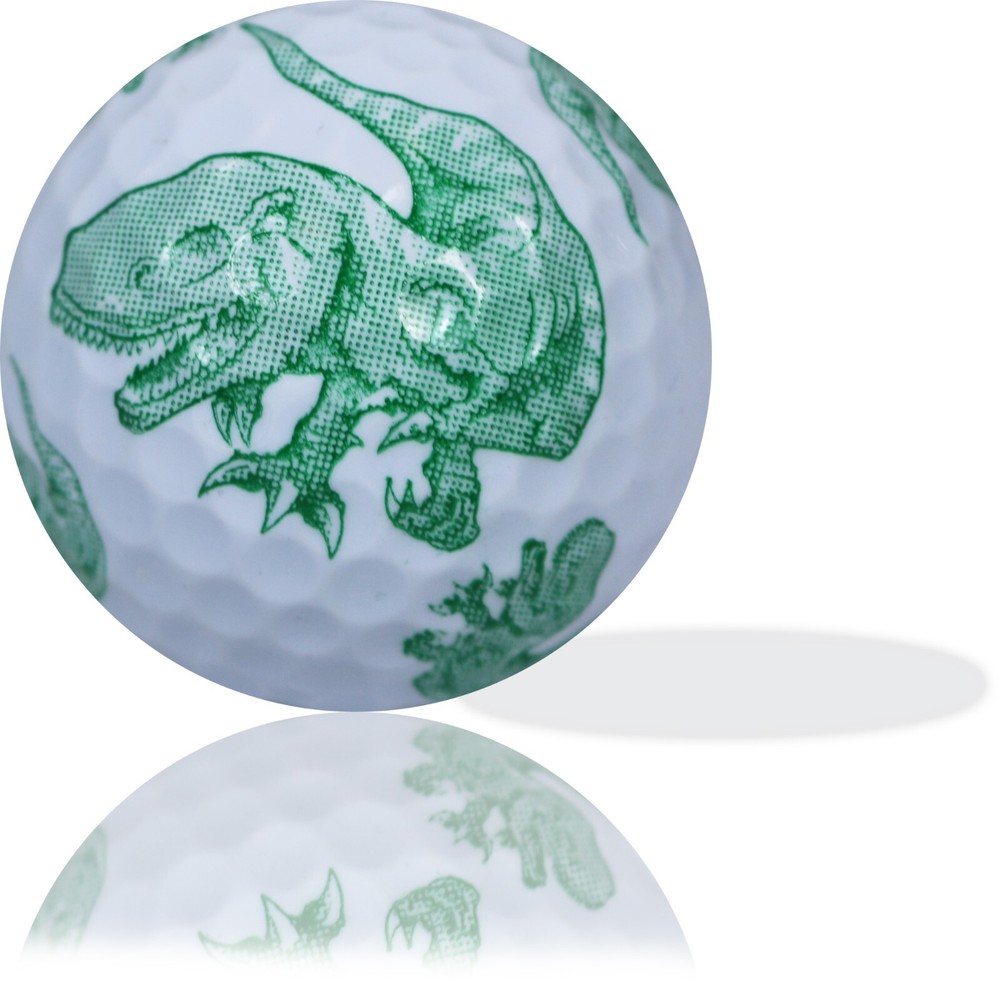 Green Dinosaur Full wrap 6 Pack - Great Gift Idea