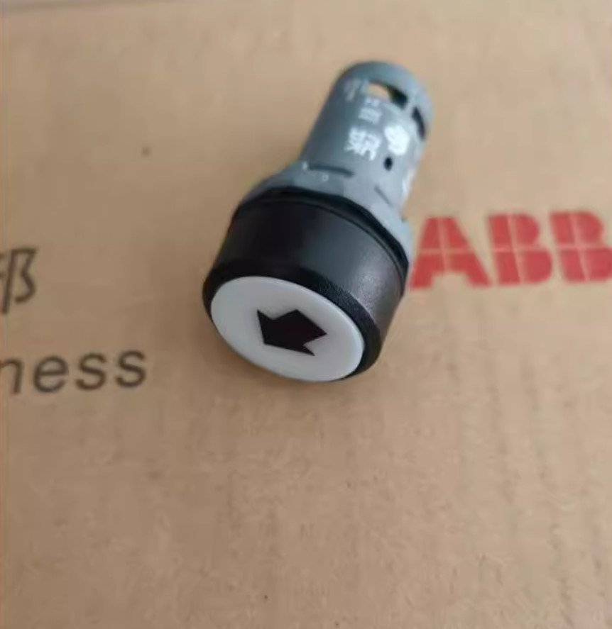 1PC NEW ABB Push-button switch CP9-1052 #LL