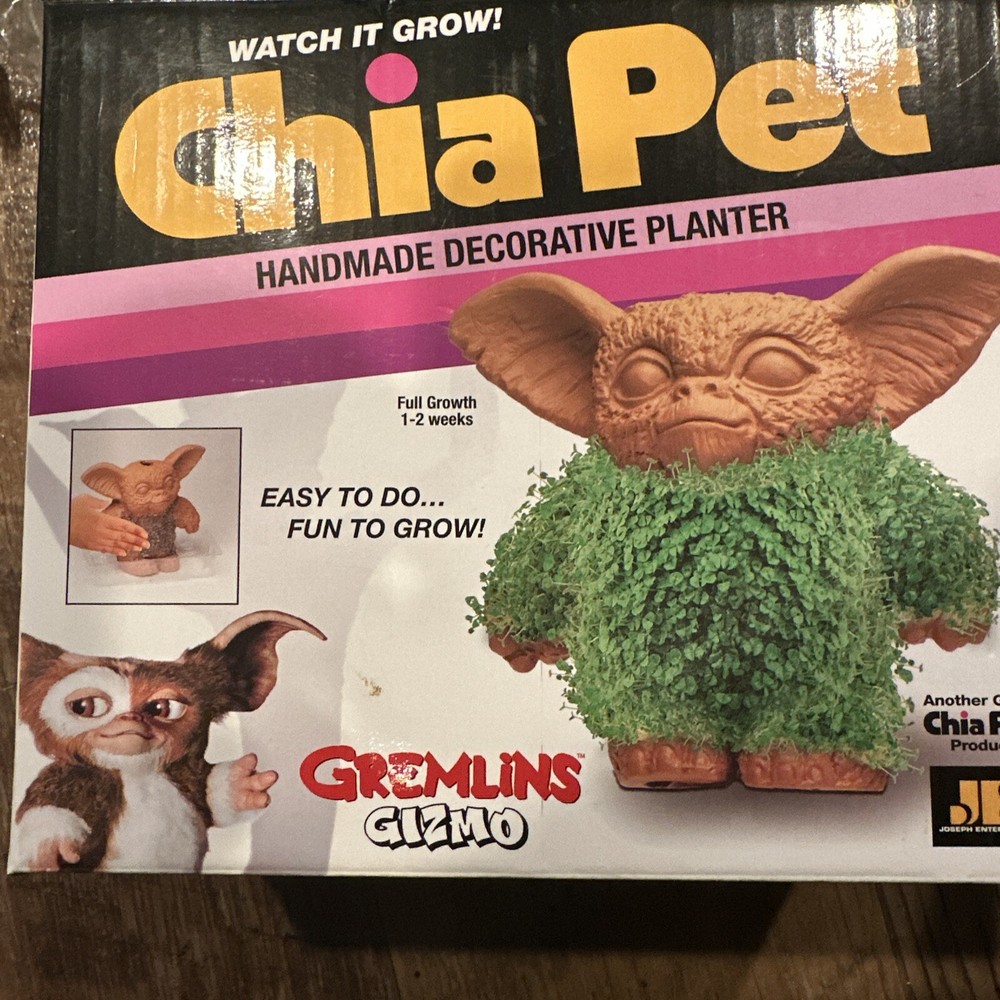 Gremlins Gizmo Cha Cha Chia Pet Handmade Decorative Pottery Planter