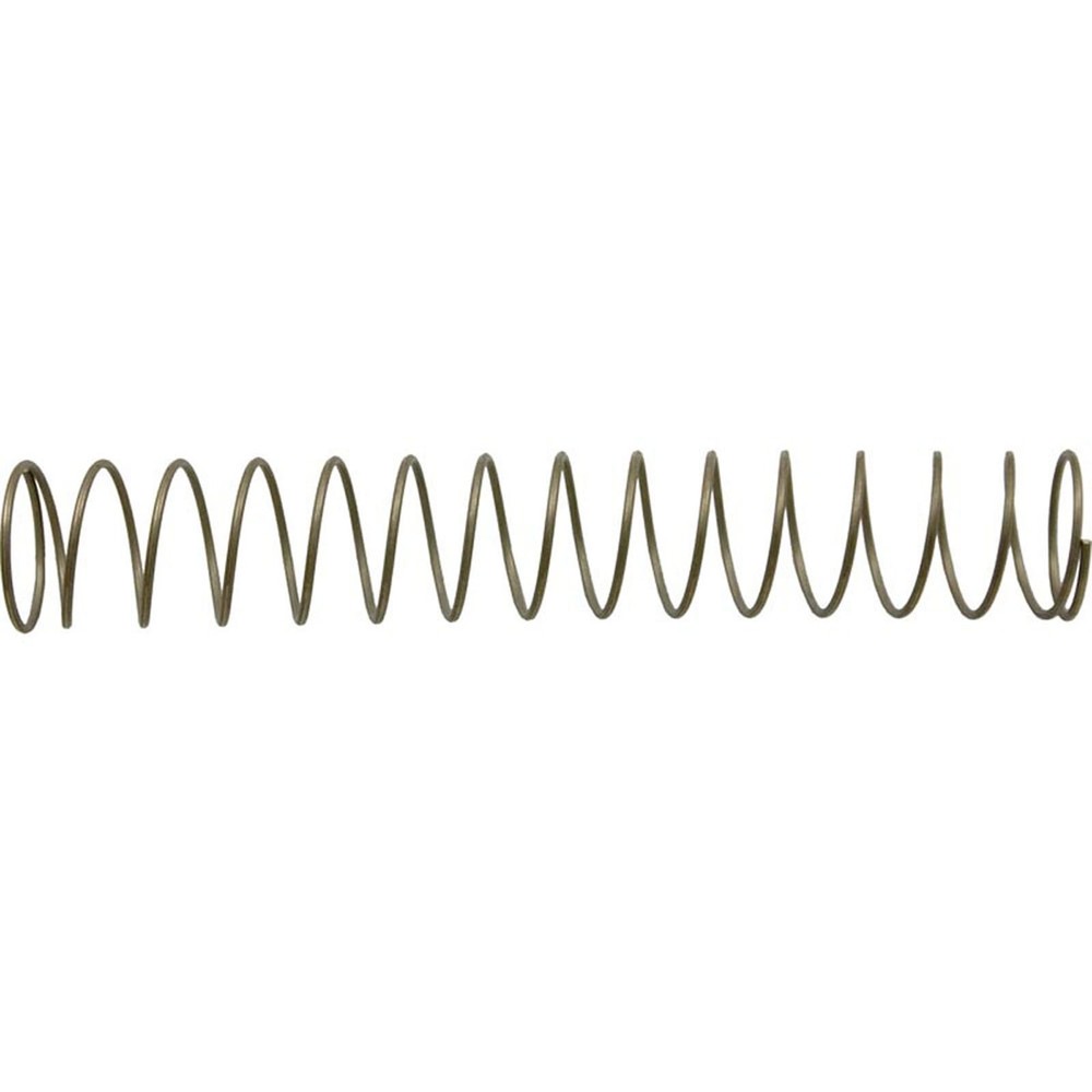 Spring, Pentair 90Â° Spring Check Valve, 1 lb.
