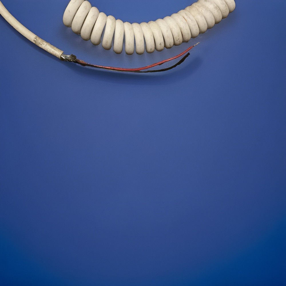 Sirona X-ray Exposure Button 2 Prongs