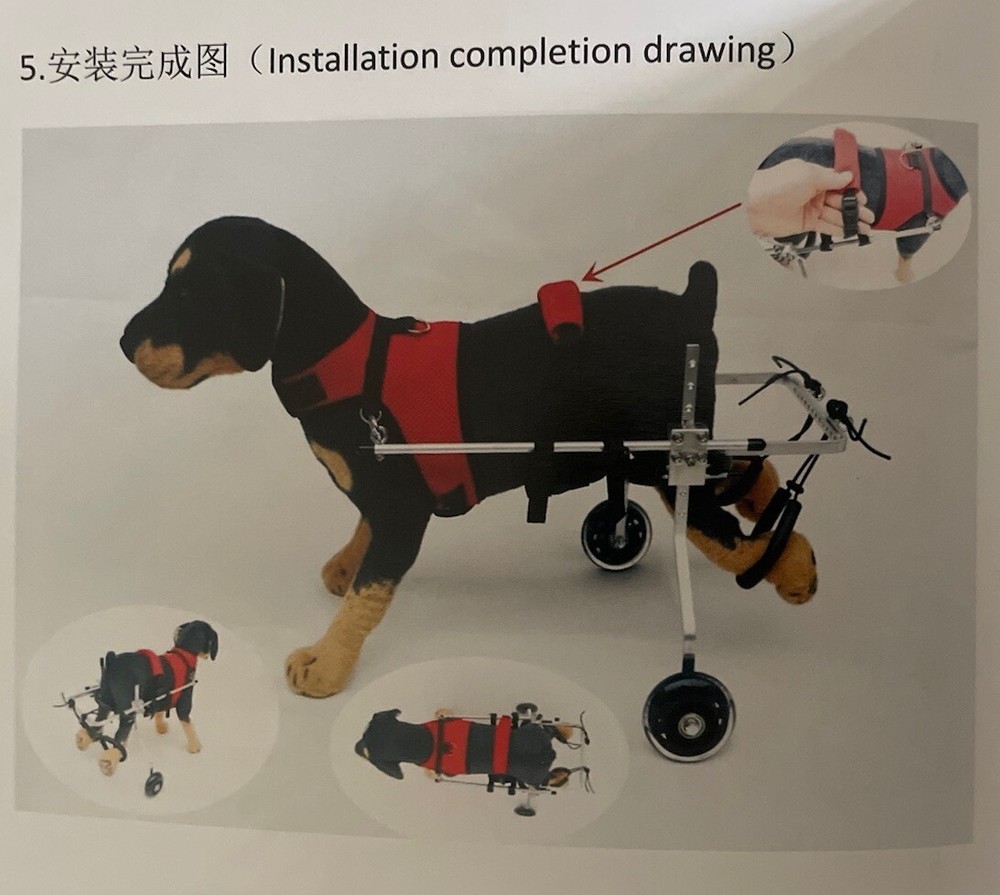 Pet Wheelchair for Rear Legs