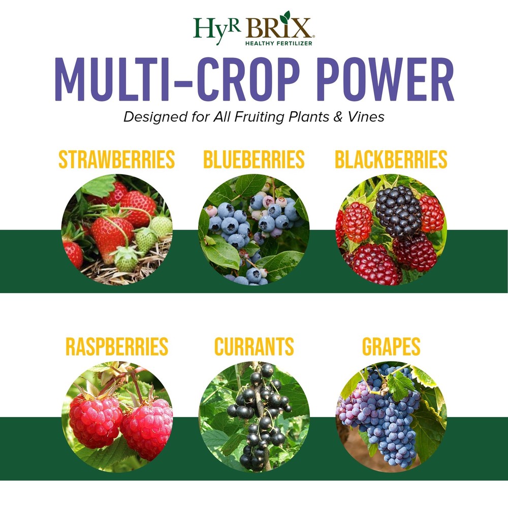 HyR BRIX Slow-Release 6-8-9 Fruit & Berry Fertilizer, 45lb Bag