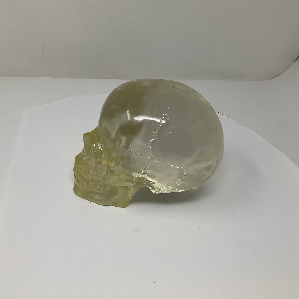 Summit Translucent Skull Head Collectible 2007 Heavy Solid Decoartion 6"