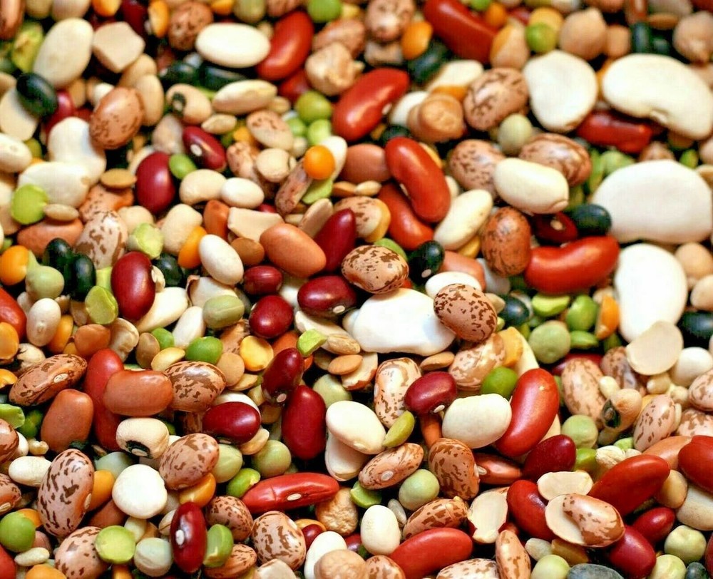 Bean Soup Mix