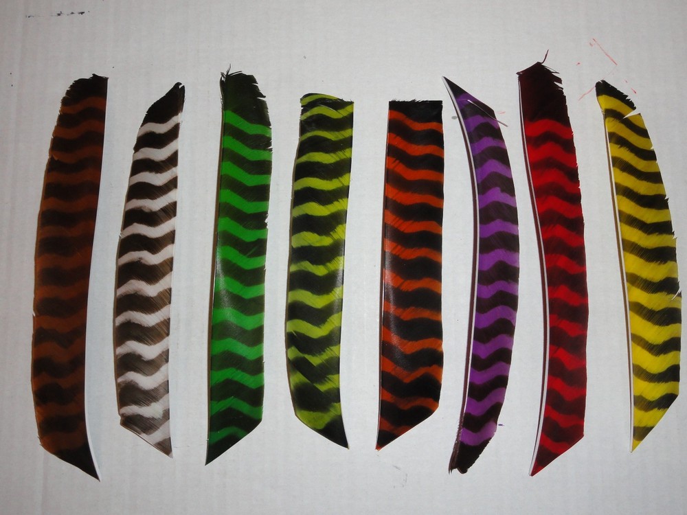 TrueFlight Full Length Barred Feathers - 100 Pack, RW or LW