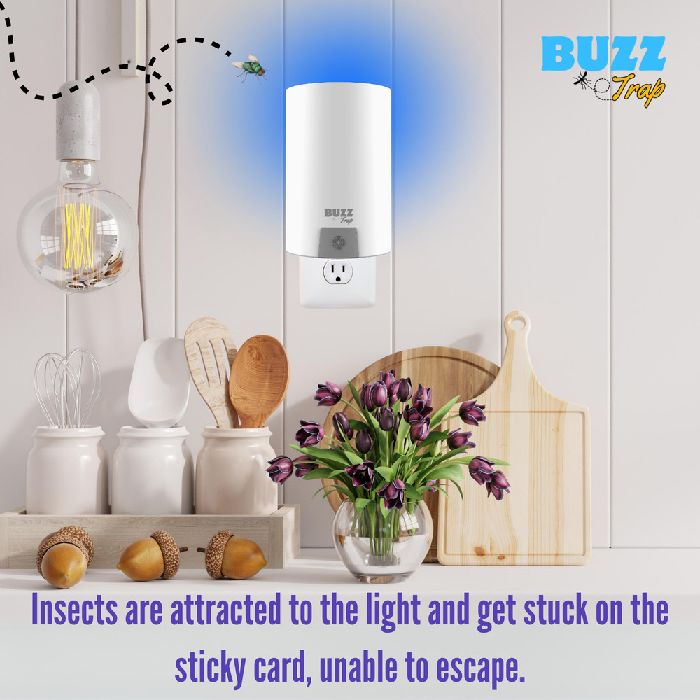 Flying Insect Trap, Indoor Fly Trap, Fruit Fly Traps (2 Device + 8 REFILLS)