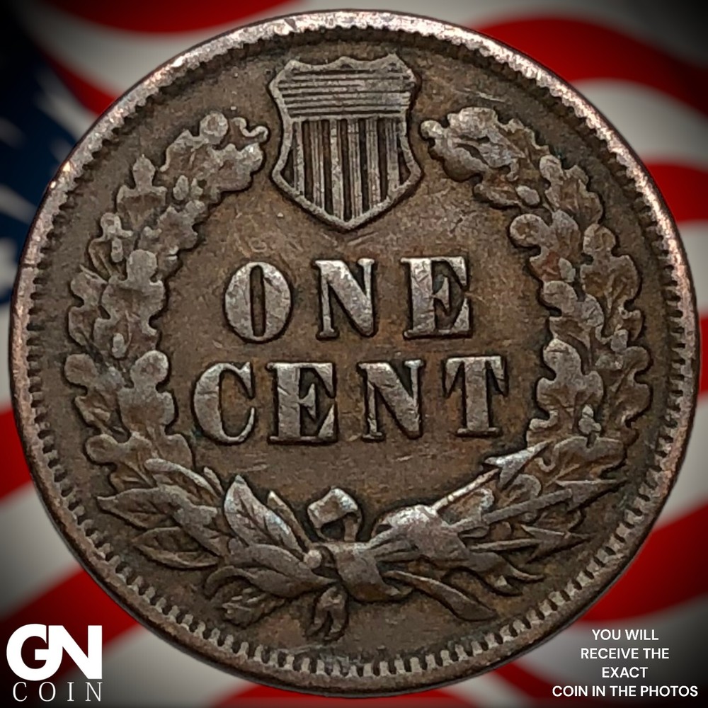 1900 Indian Head Cent Penny M6209
