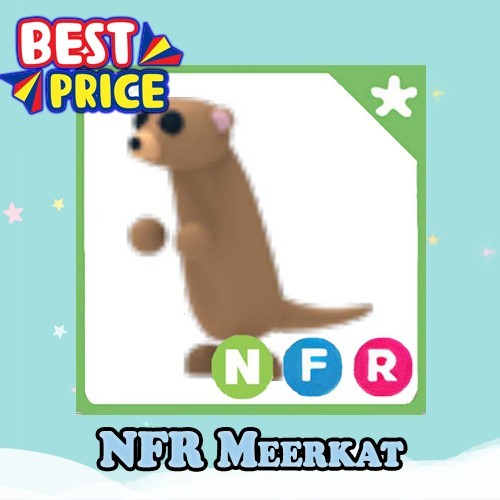 NFR Meerkat - Adopt right now