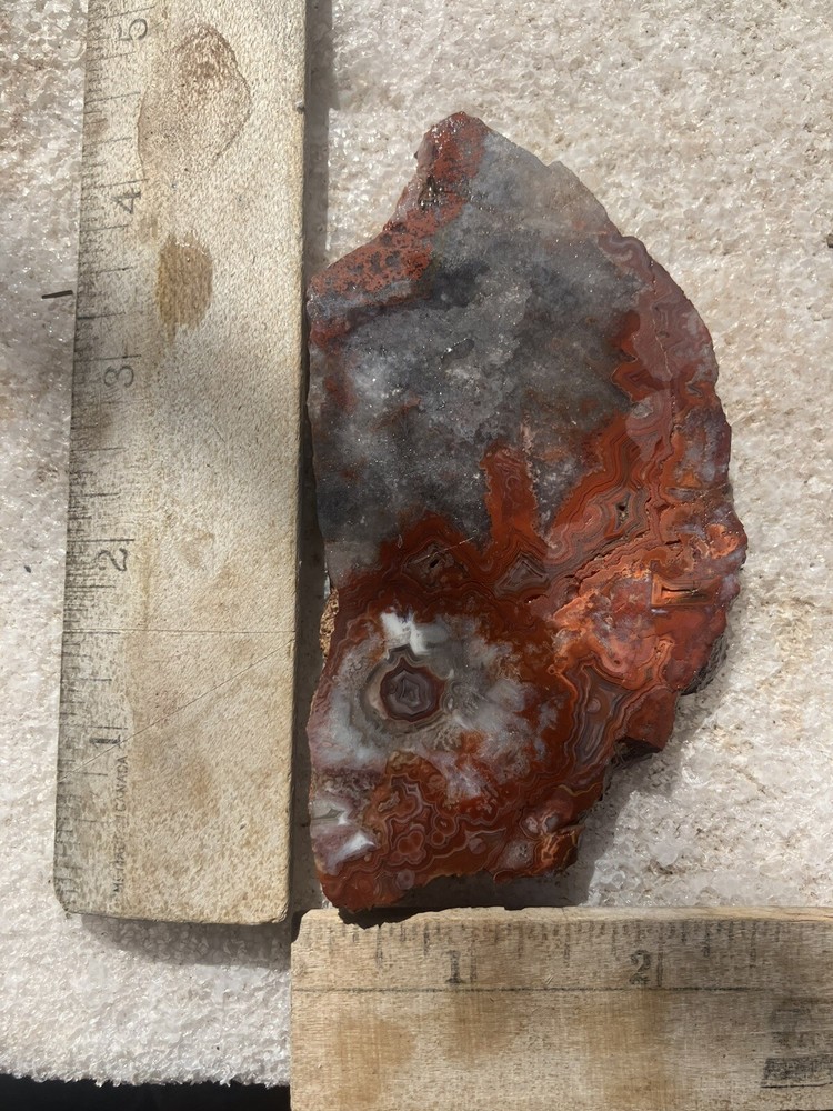 Crazy Lace Agate Slab