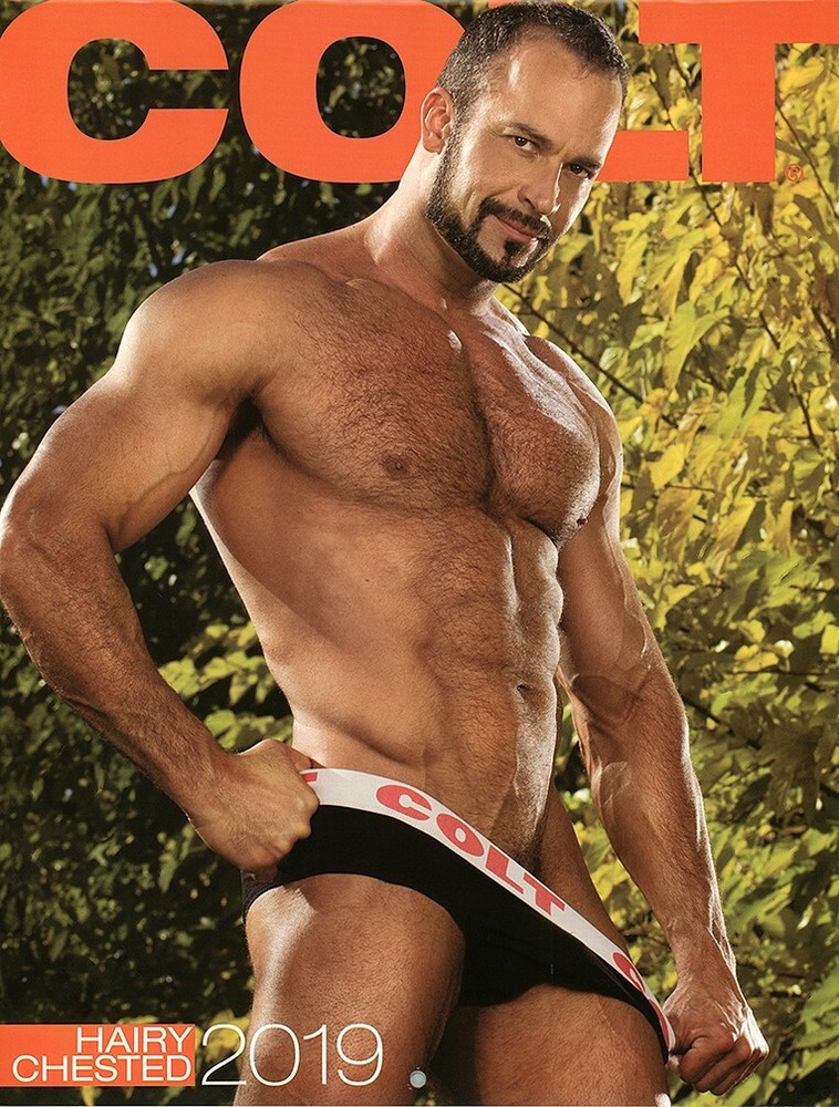 Colt Hairy Chested Men 2019 Calendar