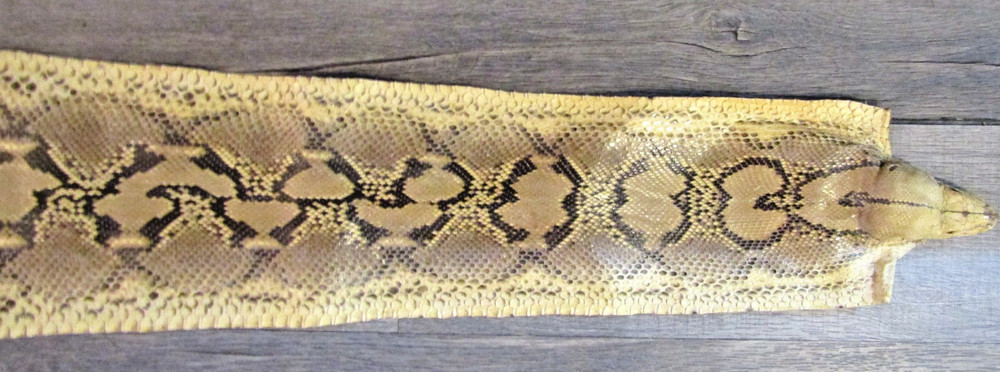 Taxidermy Genuine 15' 4" Long Reticulated Python Hide