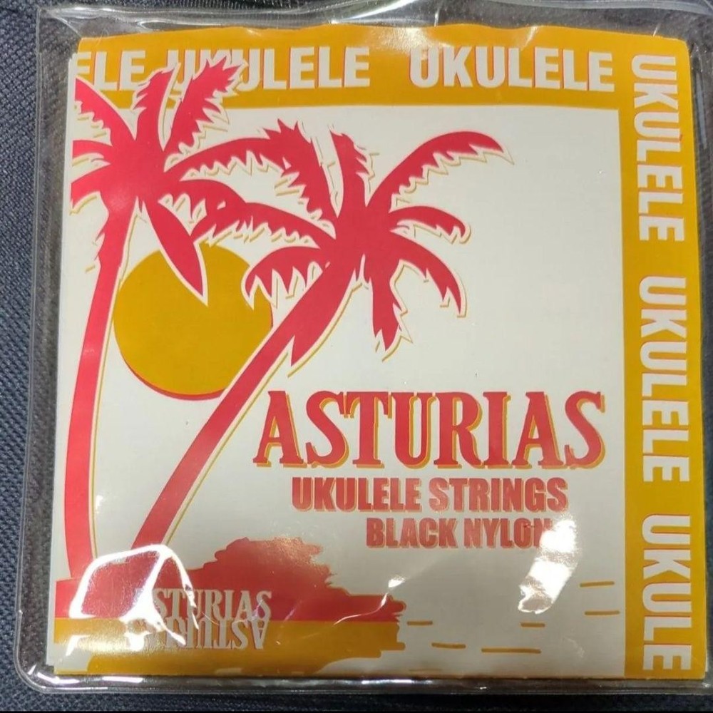 Aria ukulele body with case