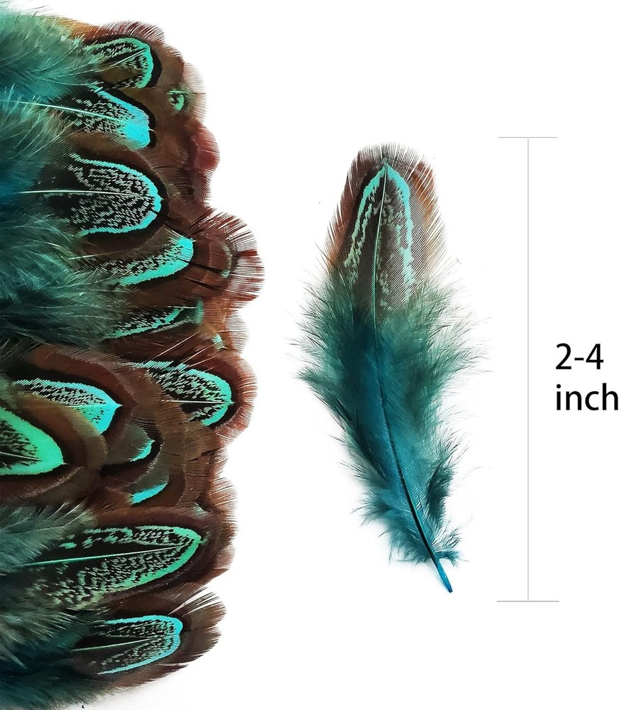 Natural Blue Pheasant Plumage Feathers 200pcs
