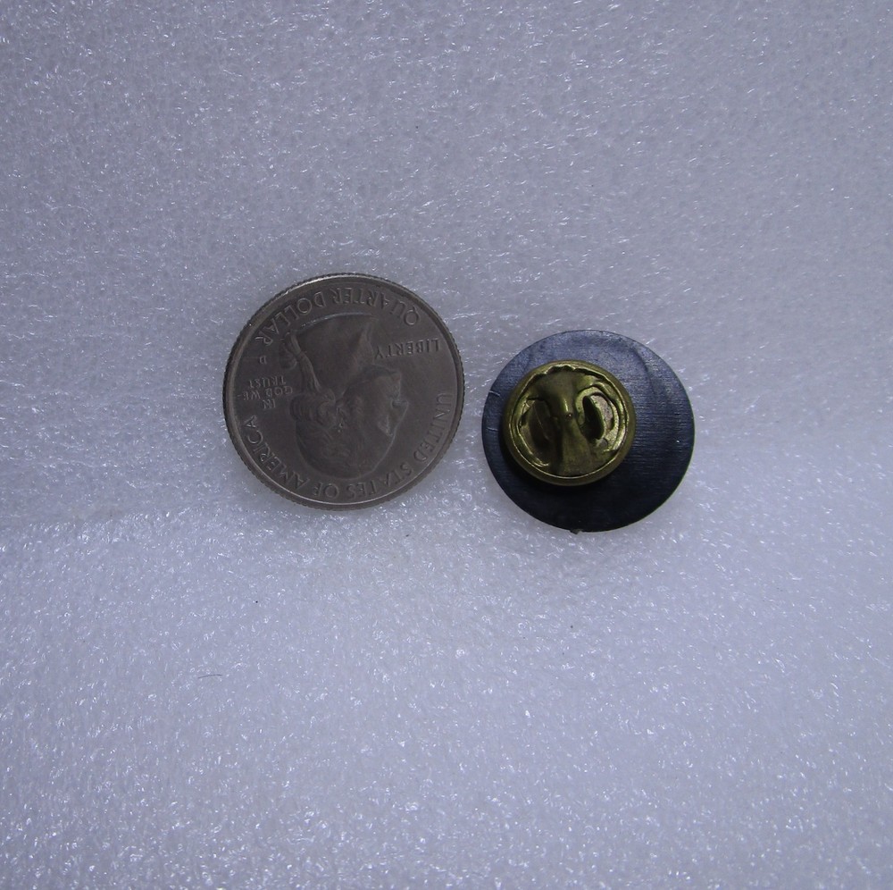 No Dice Plastic Pin