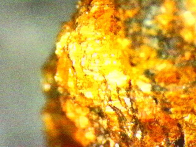 Gold Ore Specimen / Visible Gold