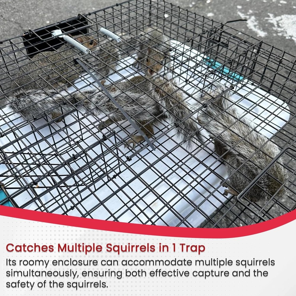 Predator Guard Squirrel Guard Trap - Humane Multi-Catch Trap, Attracts #1532SUP1