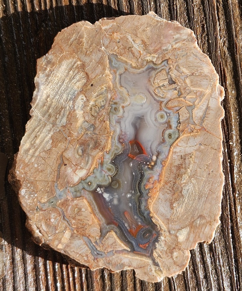 Agate Lapidary Slab 30 Grams Baker Area