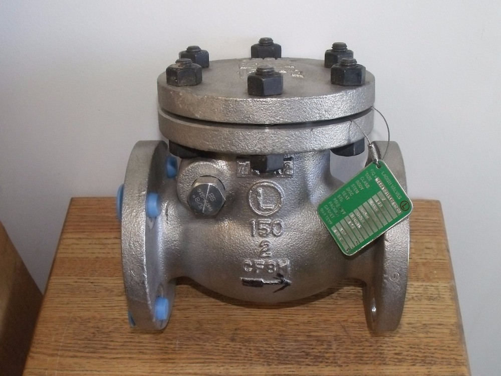 Landish 2" CF8M 150# Flanged 316 Swing Check Valve PTFE