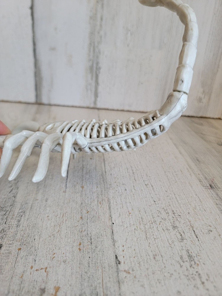 Halloween scorpion seasons bone skeleton prop scary decor