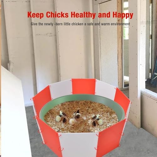 Brooder Box for Chicks, Adjustable Shape & Large Chicken Brooder Start Kit--A